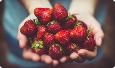 Consequat publishing packages and web page editors.